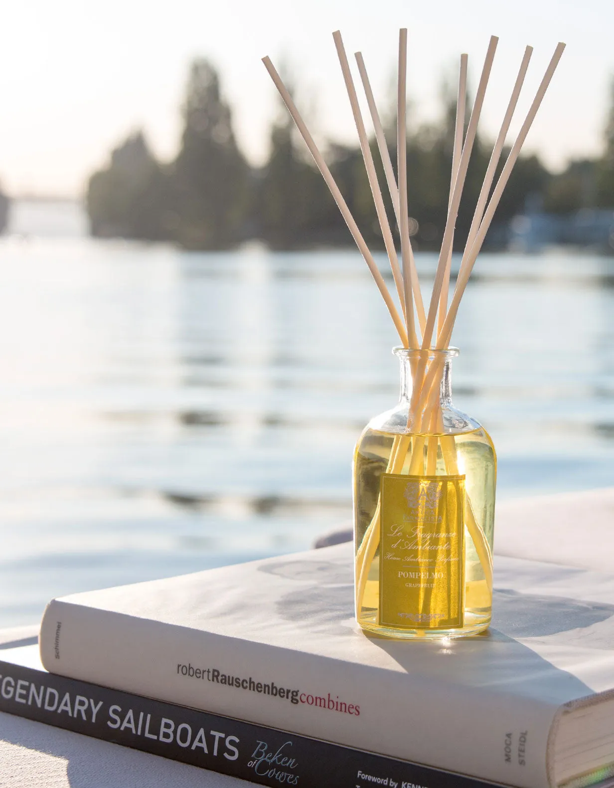 250ml Grapefruit Reed Diffuser