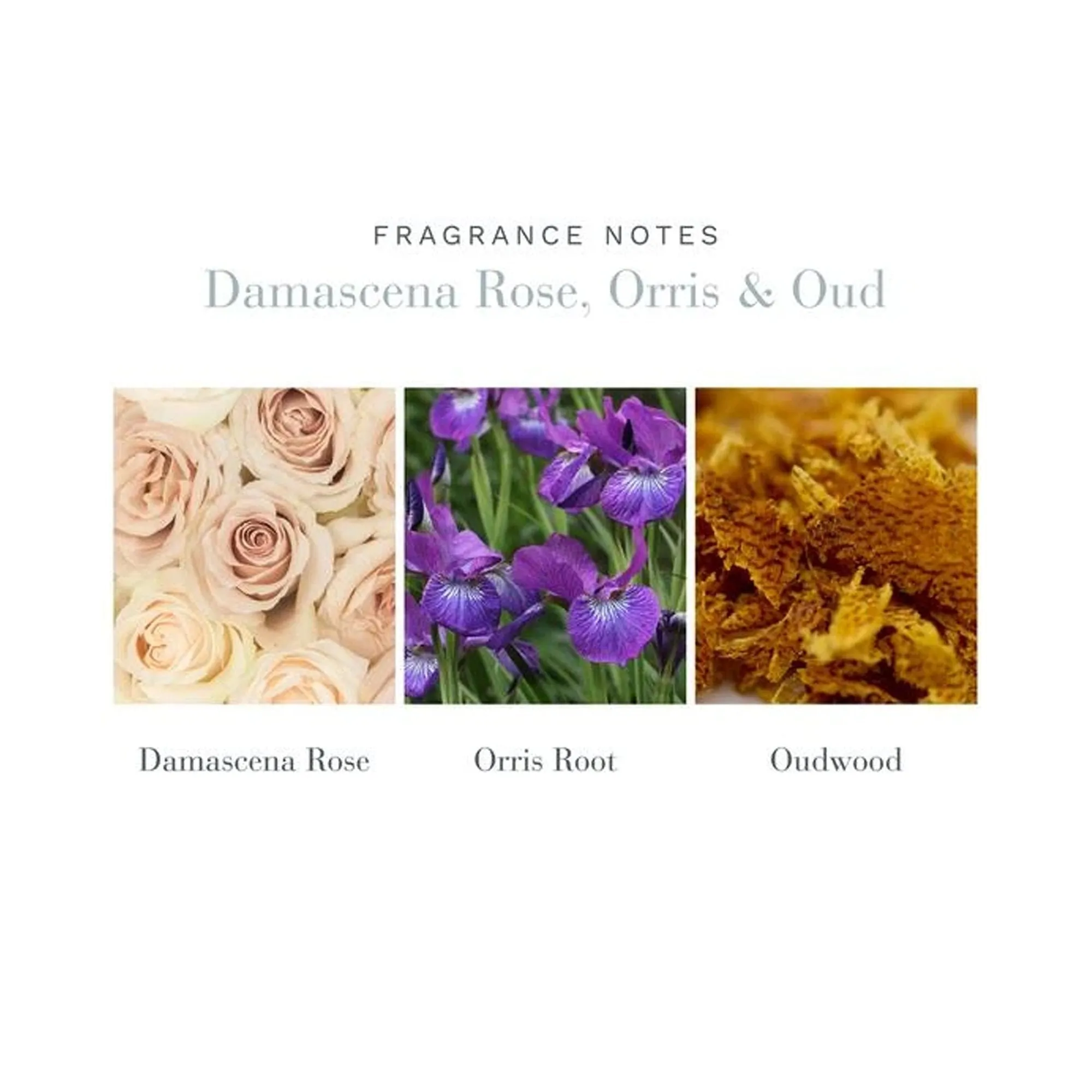 Antica Farmacista Damascena Rose, Orris & Oud Reed Diffuser