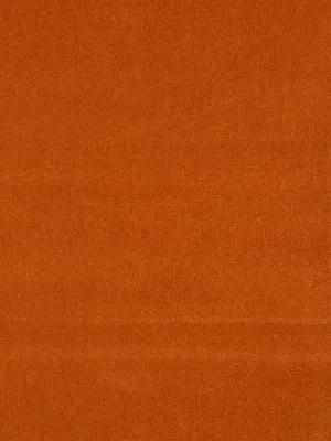 Foreign Affair-Tang