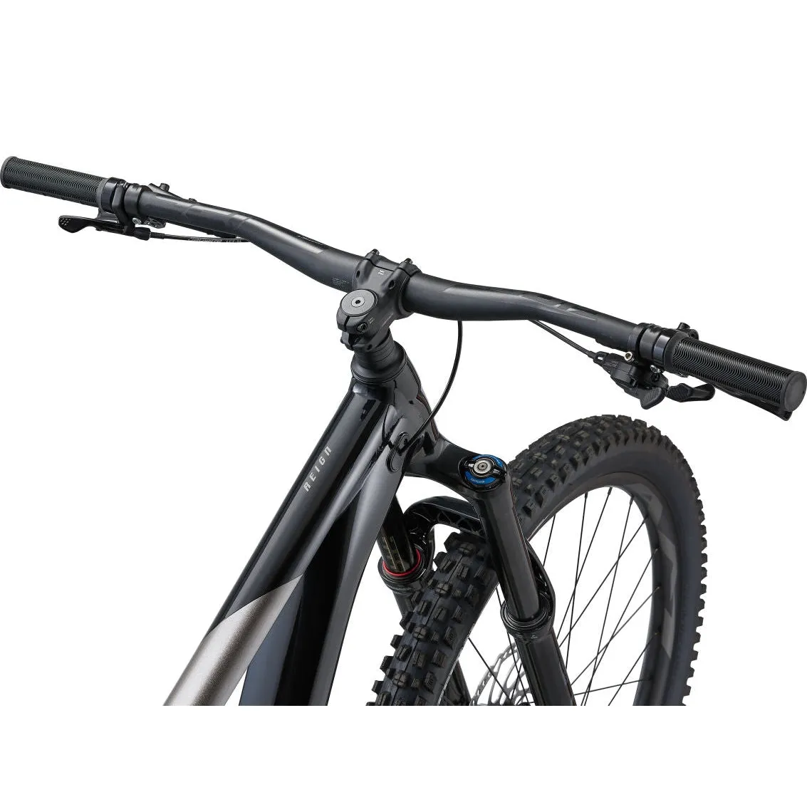 Giant Reign 2 Mountain Bike