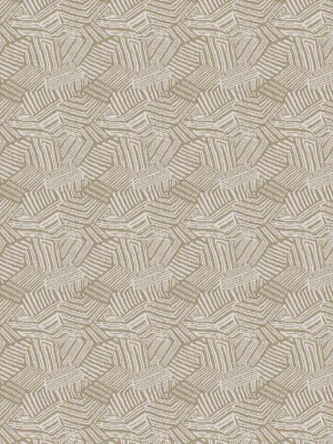 Kroo-Sand Bird