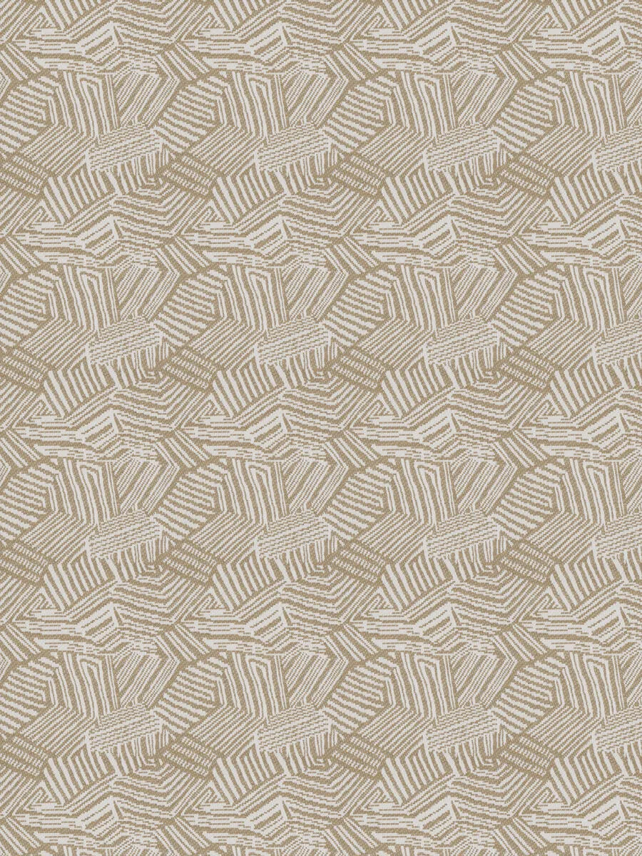 Kroo-Sand Bird