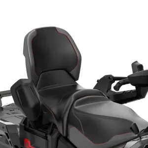 Lynx Heated Passenger Seat and Grips