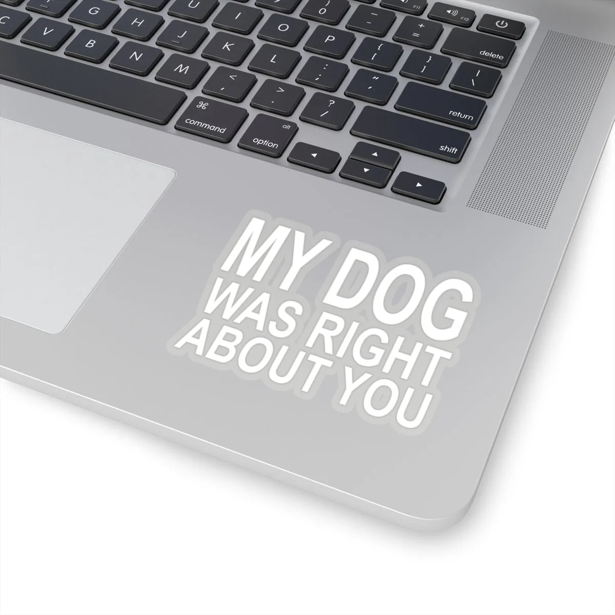 My Dog Was Right About You - Premium Sticker