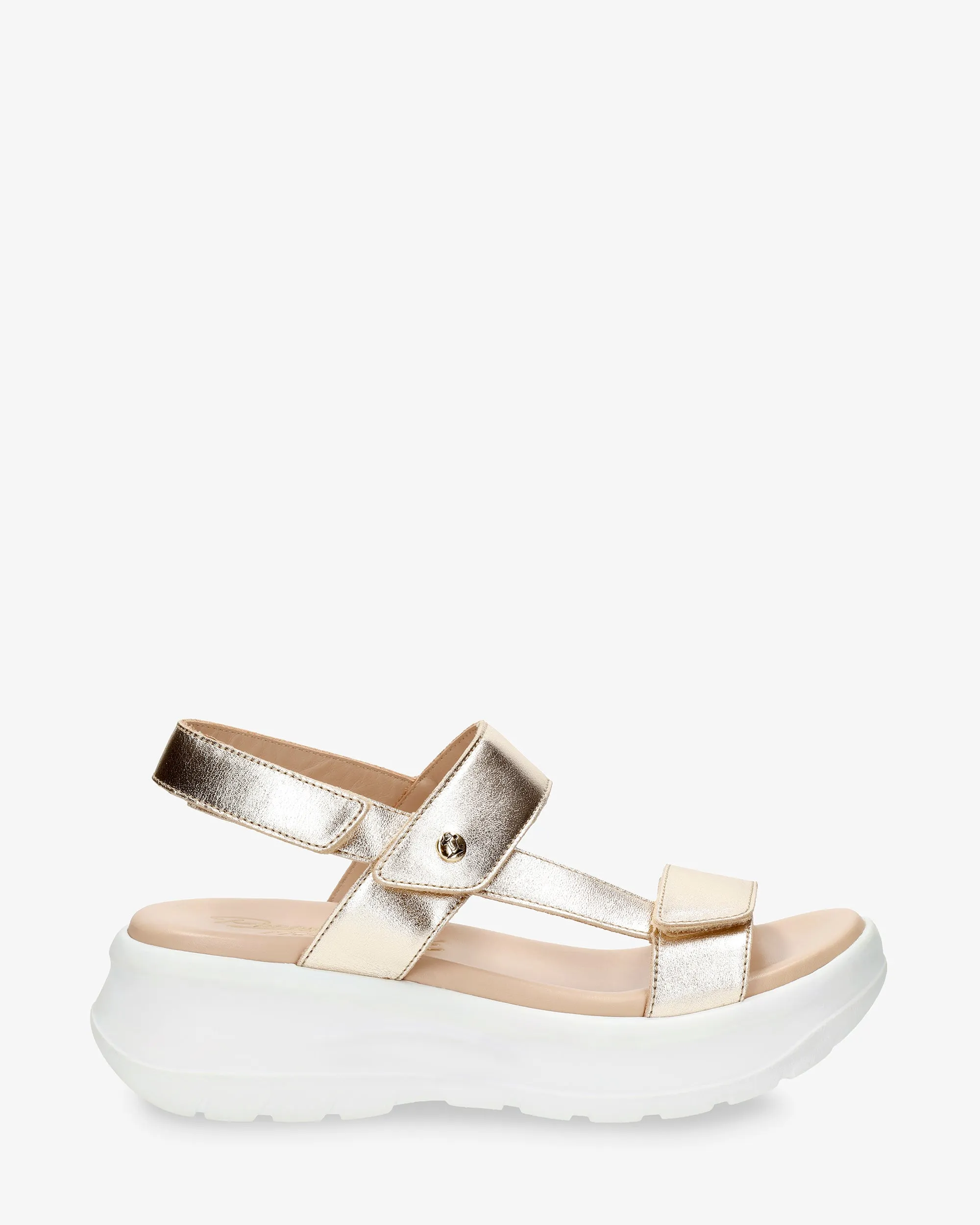 Noor Shine B1 Napa Oro