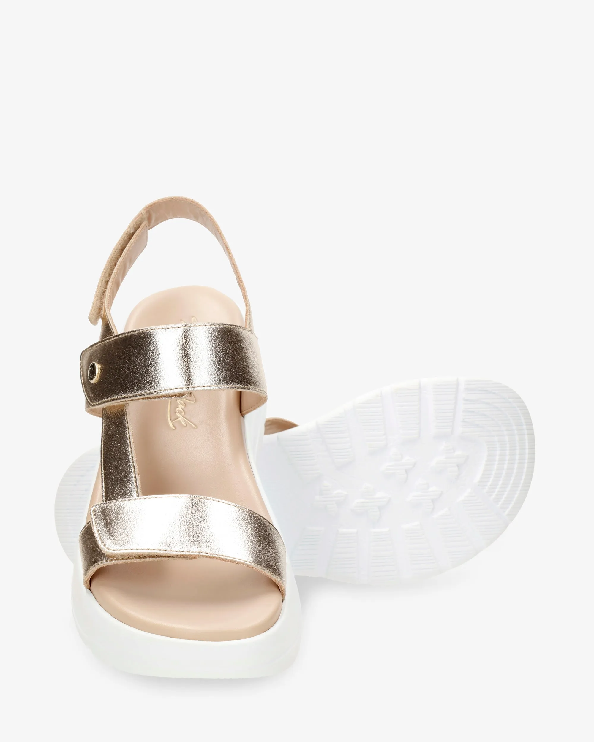 Noor Shine B1 Napa Oro