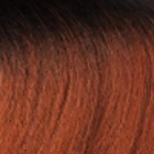 Outre The Daily Wig Synthetic Hair Lace Part Wig - CORETTA