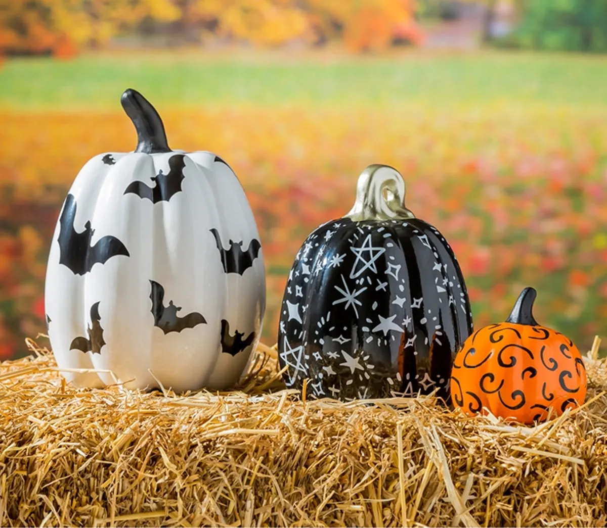 Printed Pumpkins(Set of 3)