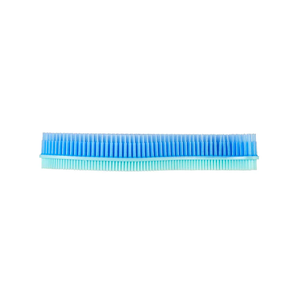 Silicone Fish Bath Scrub, Blue